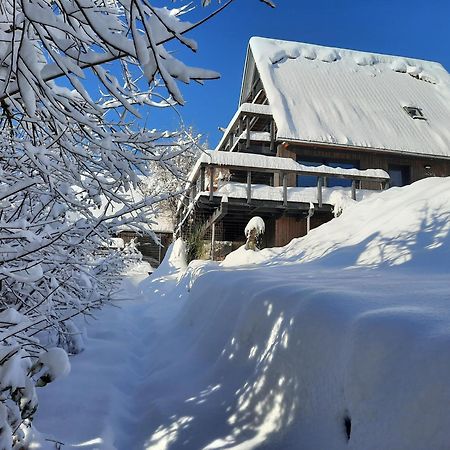 Villa Haus Mit Bergblick à Siegsdorf Extérieur photo