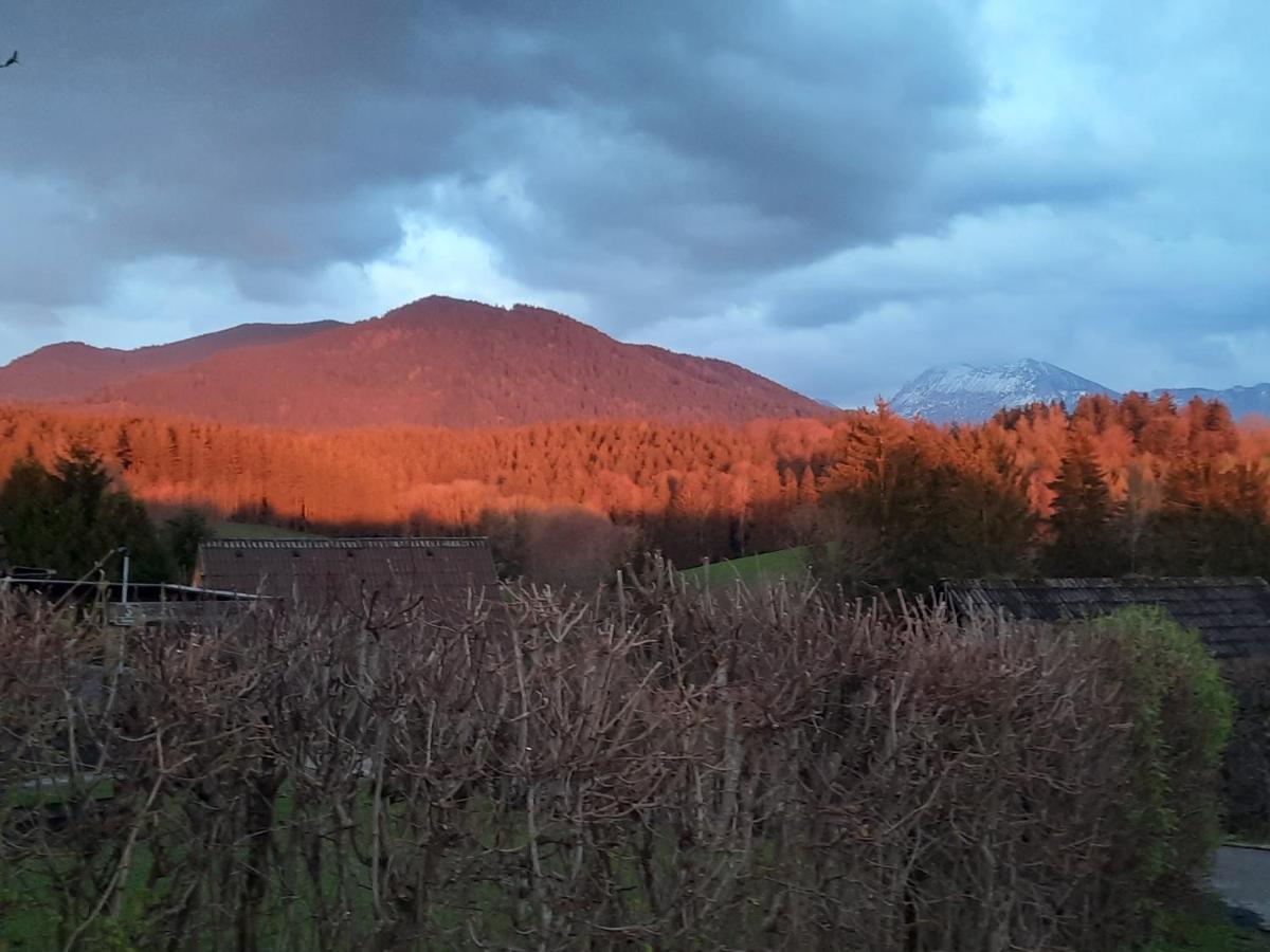 Villa Haus Mit Bergblick à Siegsdorf Extérieur photo
