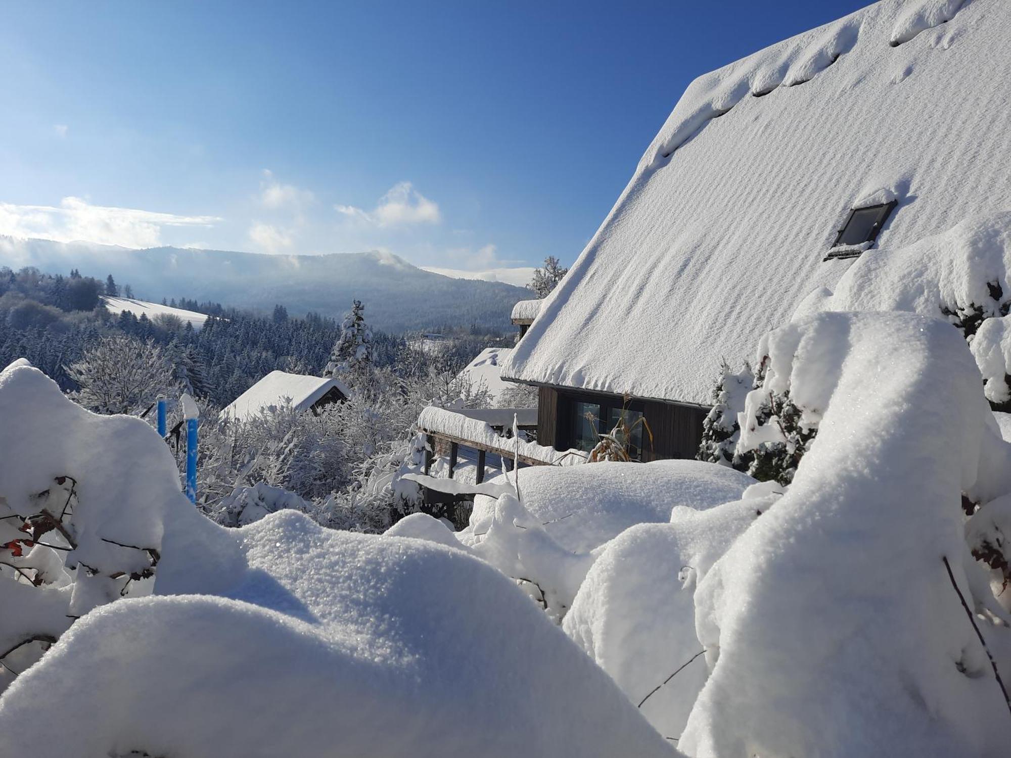 Villa Haus Mit Bergblick à Siegsdorf Extérieur photo